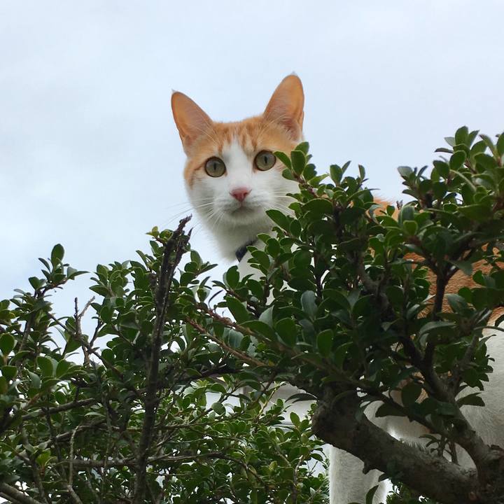 De6ee631 0f41 44fd 8004 233b6954b3b6