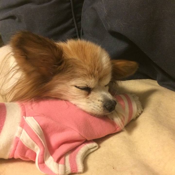 De6f1fdb 8af5 4d63 a1bd 86b4d13a43bb