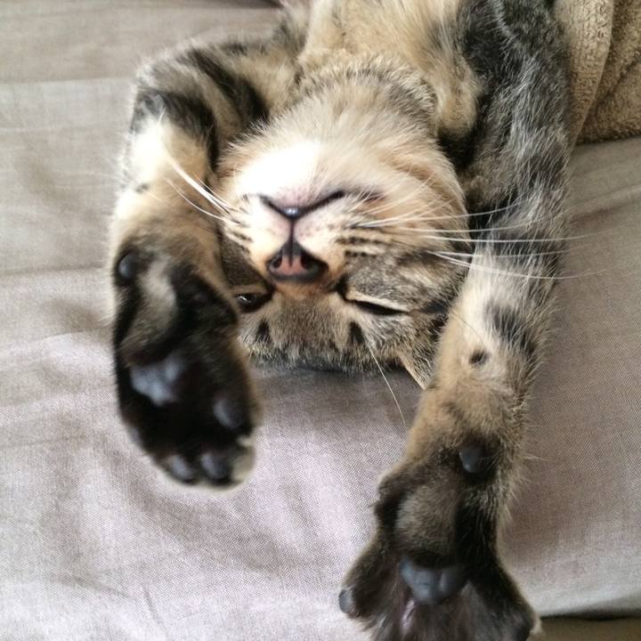 De6f9aa1 cec3 4cfa b94d 66eda1e73fd1