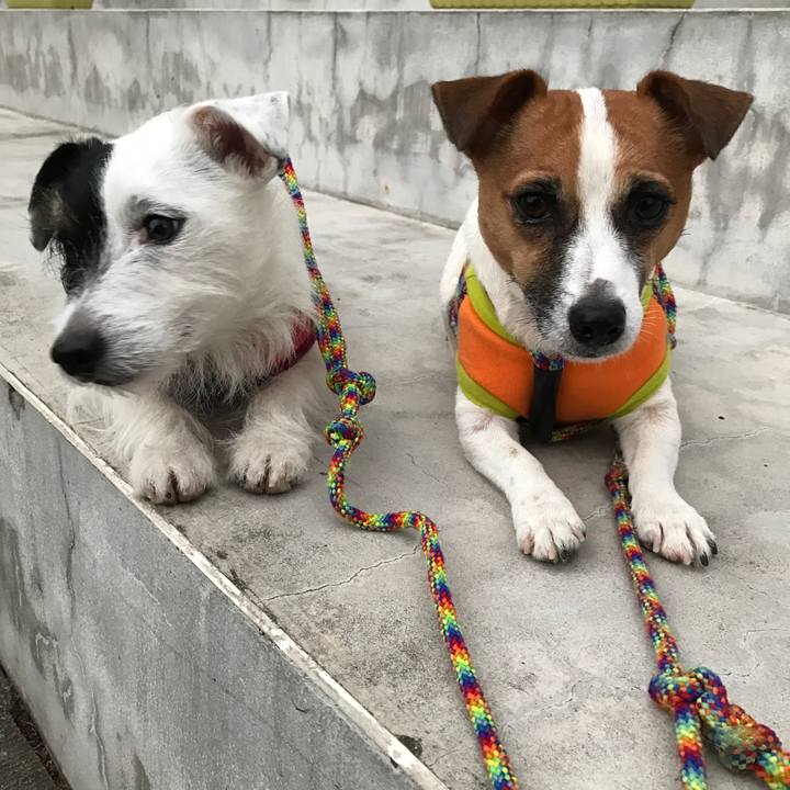 De70b26b 72b3 415c a147 1b5da8cf9bb0