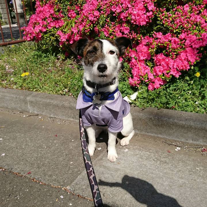 De70df25 1c67 49bf aba1 d516f994c1fc