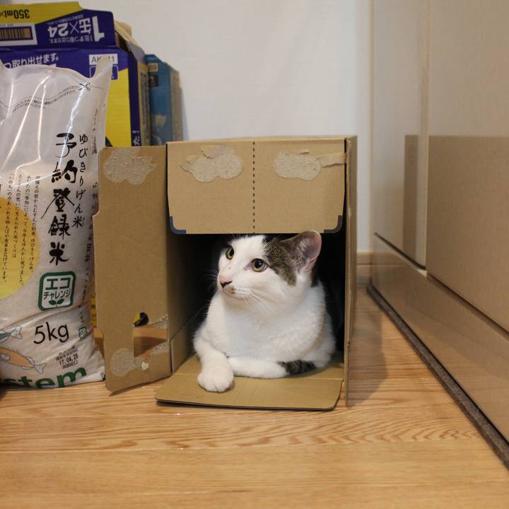 De71017e 4ec7 4dce b168 344ebeee6593