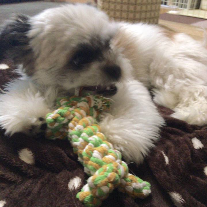 De7181bb f4e5 4f3a 8794 d9339aebcf43