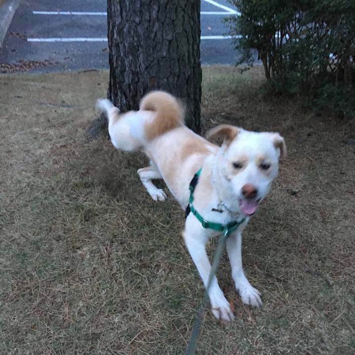 De7221ec 6732 4247 a972 c0936cd1f4f0