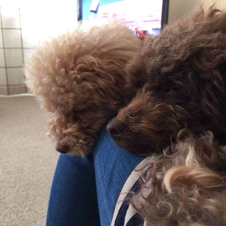 De725dd9 47f3 4d9f 9e99 668627a7f44d