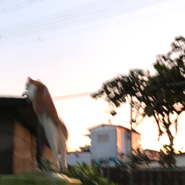 De7299f6 2387 4627 a3c0 fc837c7e34cc