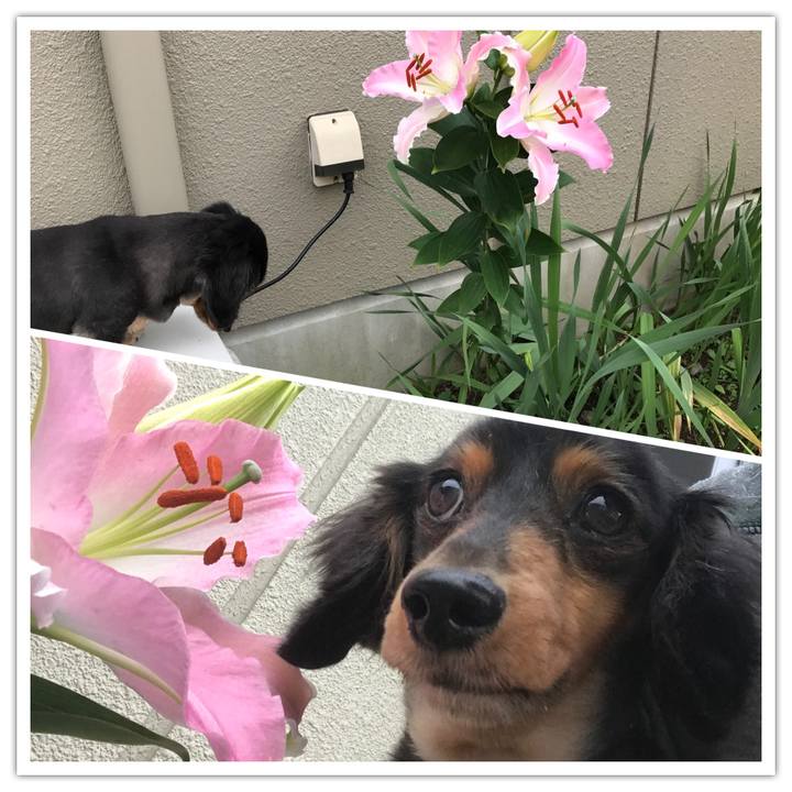 De731f1e ae67 456f 8c4b e8a33a541ae8