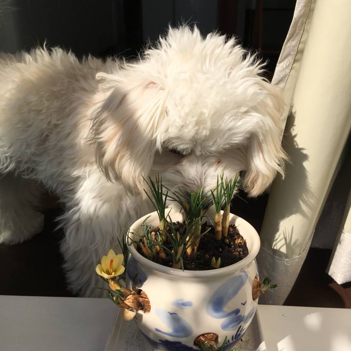 De733144 1ef7 4da6 9d93 69ad4767f2a8