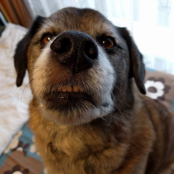 De73d972 9178 44ee b26d b1fff8b2ffe7