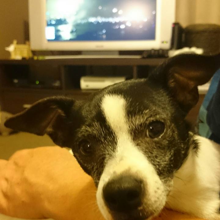 De73fdaf 1b99 4916 90fe d3988bb961cb