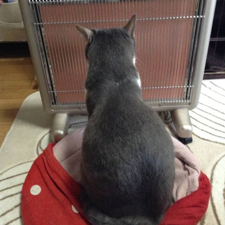 De740392 1ba6 4b2c b105 7d5452f163e9