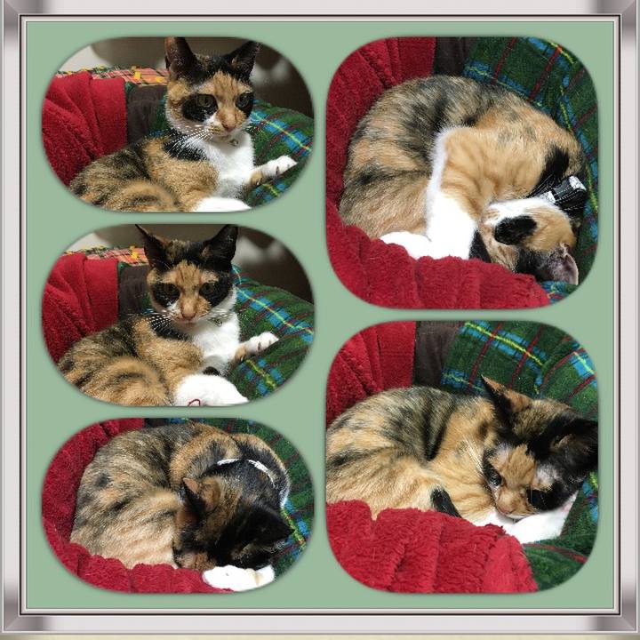 De7425eb 18ec 4516 afa8 2cf48d79af29