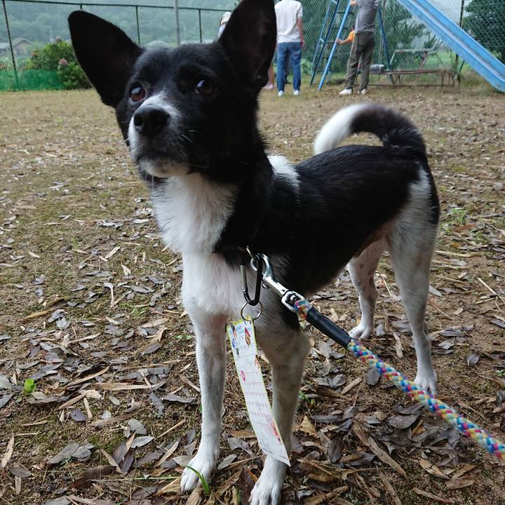 De745a33 0725 4c77 99d2 097426a32def