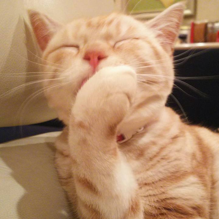 De75b20f be9a 445f a5a3 7cb3958b3b1f