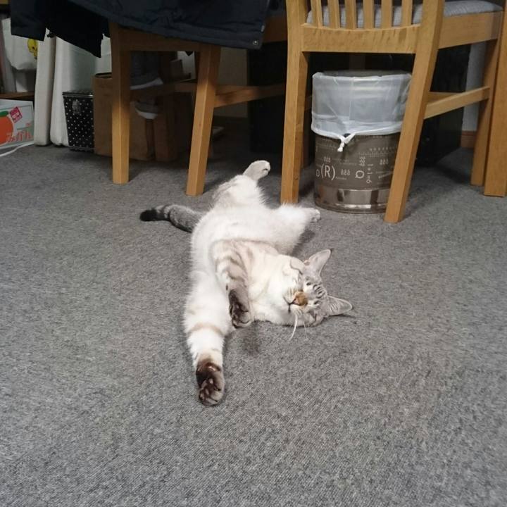 De75f11d a777 4525 9f39 508fa627b035