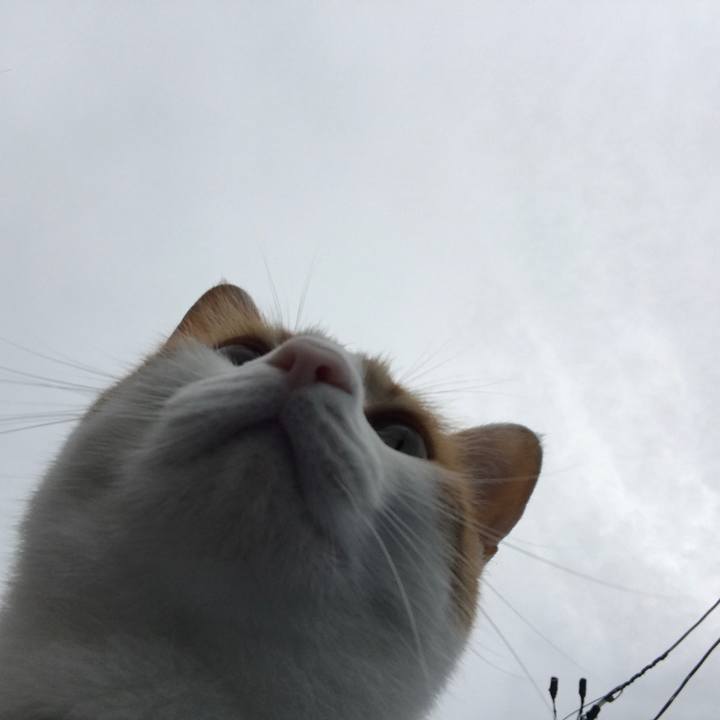 De76094b 62f9 41b7 8b17 70d347825cd2