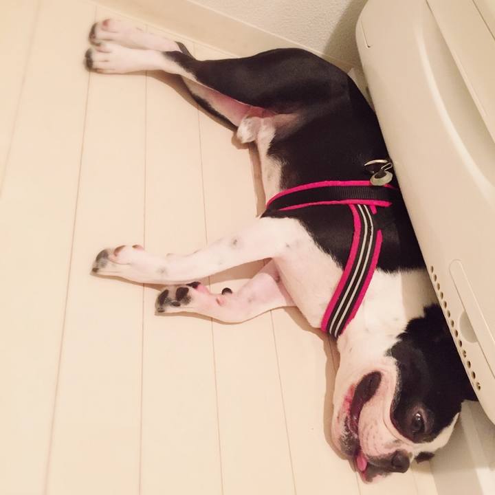 De760dae 3df4 46e5 a035 04c41e8544d6