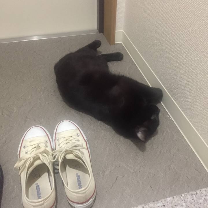 De7670f3 2ad9 439e ab44 f6291bb2f2d0