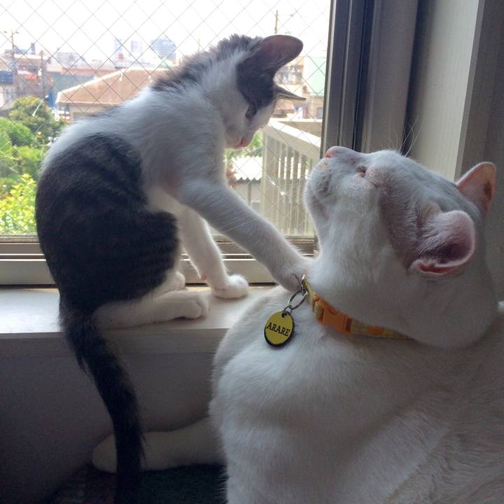 De76d1c2 08e1 40ca a6e2 2521717b11c0