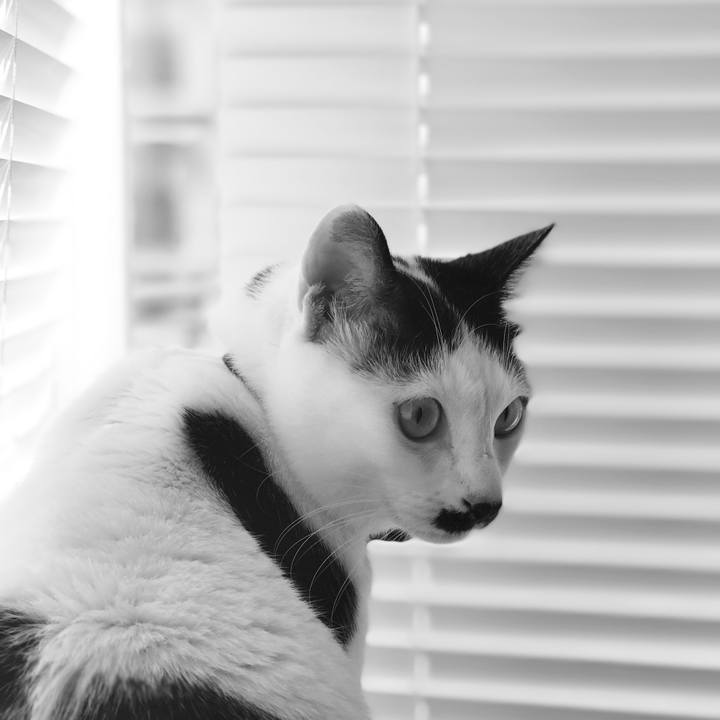 De76d9fa 6d61 437e b4a1 4706ea739530