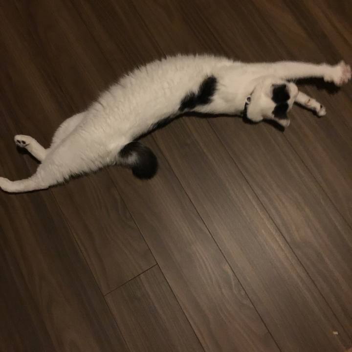 De774db3 f093 48ce bfa2 1b682dcc0a33