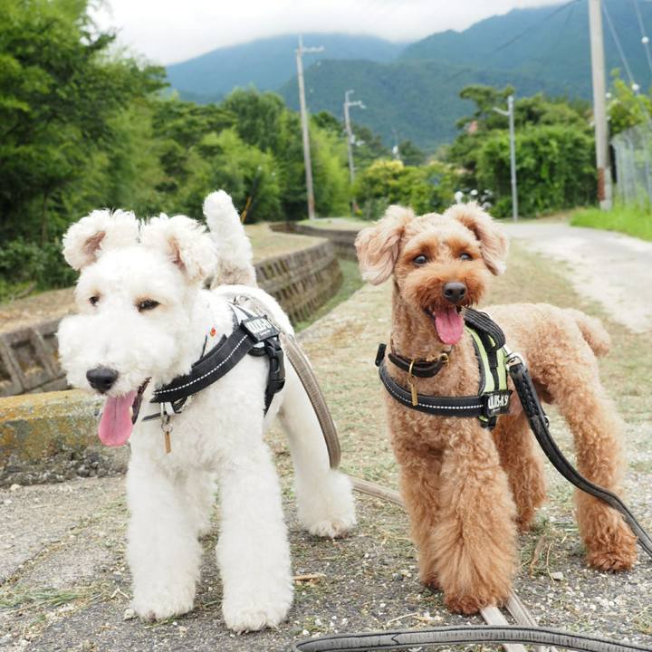 De77df72 362c 459b 9ad4 8018e80cd4ca