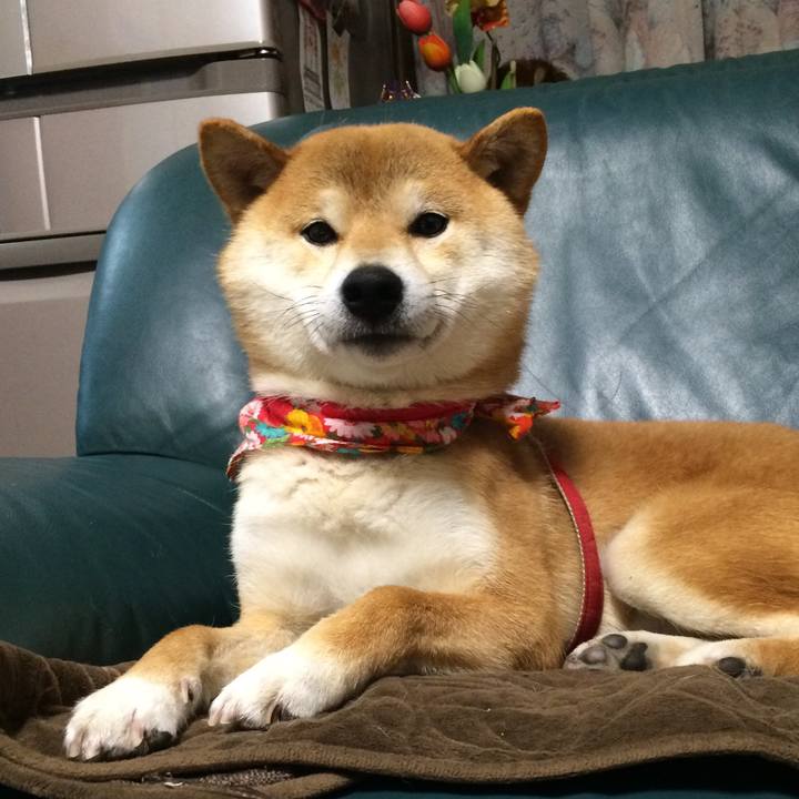 De7906d5 9f3f 47d7 a35b 06f29a3b26e3