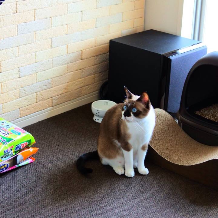 De794b62 2024 4888 8b84 fd9a847273b9