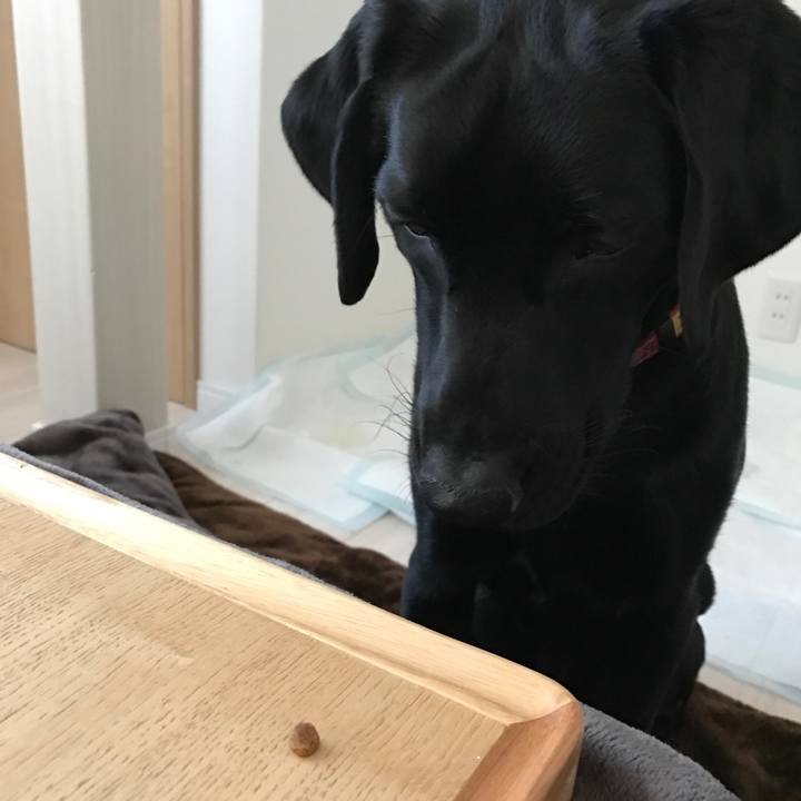 De795505 ad54 4713 9a2b 9318cf0a5499