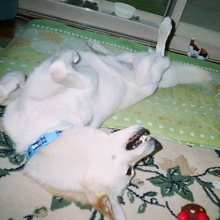 De79687e 2467 4fbb 8e49 b00431ef5040