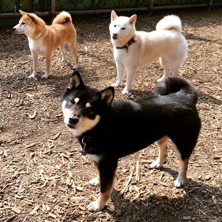 De796aa6 a2c0 4f8b aae9 903ca8ff9a80