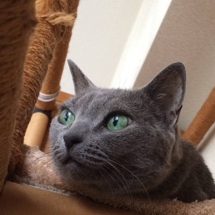 De79b210 f629 4d01 9516 dbce939f19b8