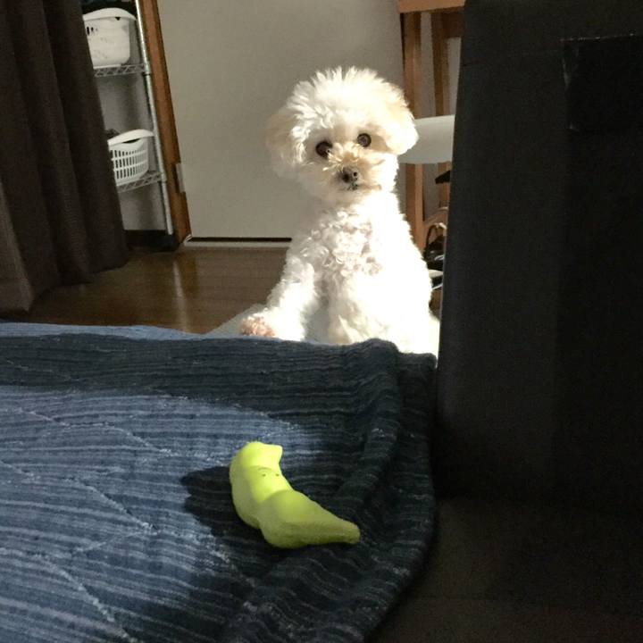 De79e737 4241 4dd2 b064 682f7688ef43