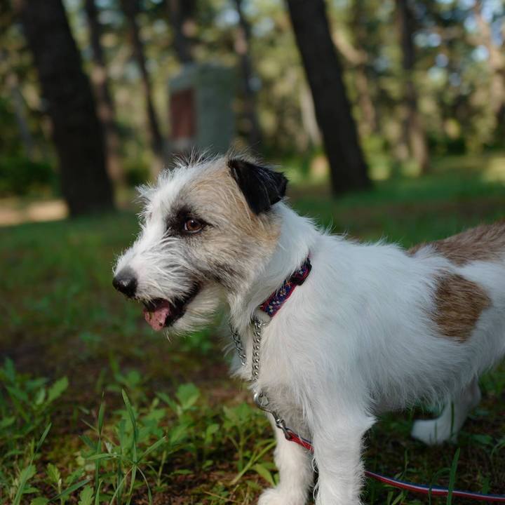 De79e9a7 2668 4385 bcf4 1ad84cb0d17d