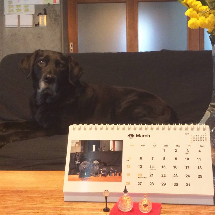 De7a4b5a 0334 47d7 bcb3 c9117c9abc0c