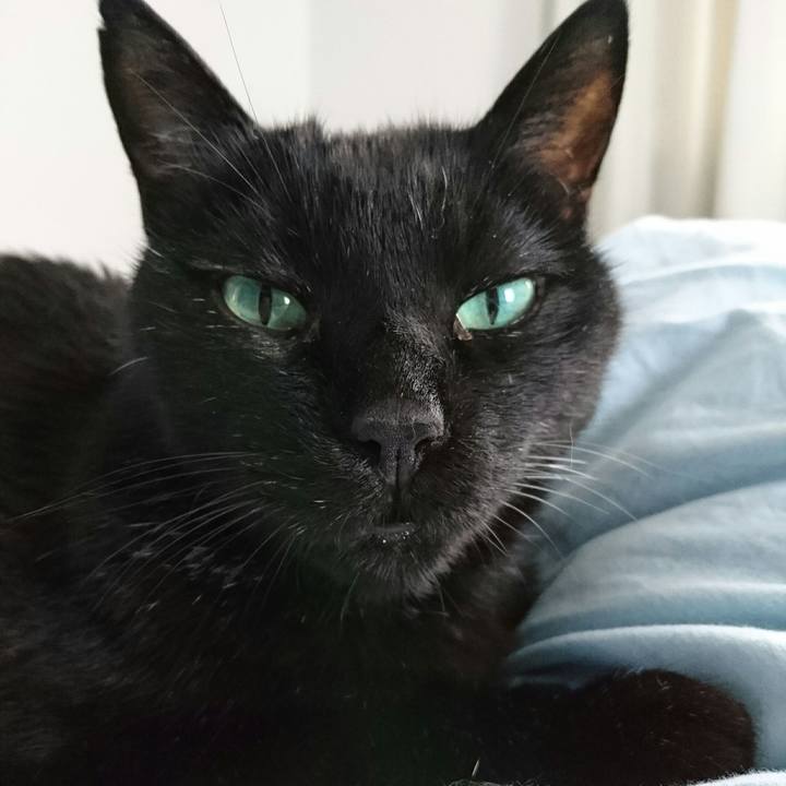 De7aaf8d d1e8 40bb b2bd 860596cdb9f1