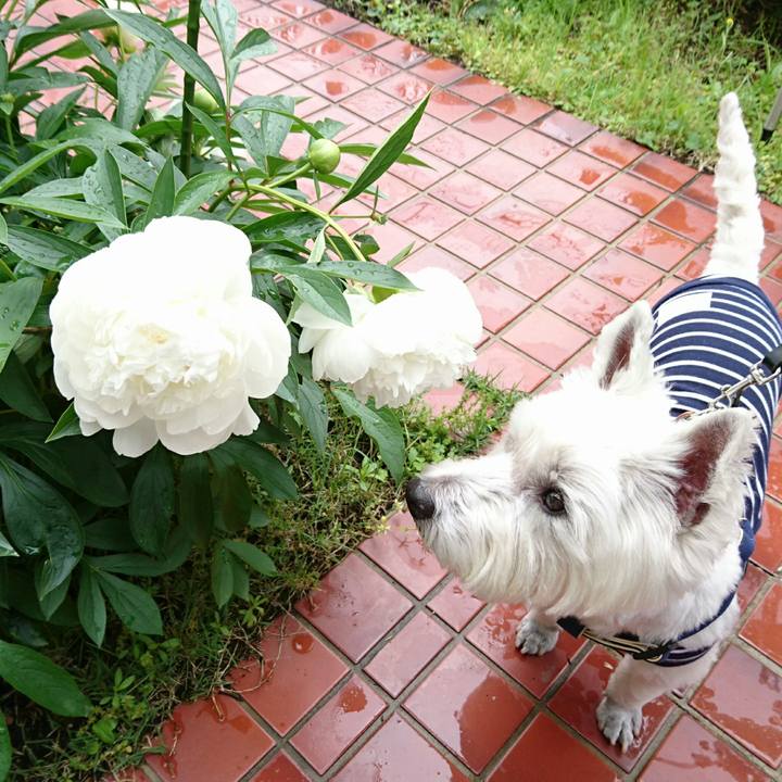 De7ad6bf c8ad 4bc1 9579 ec64aecb3863