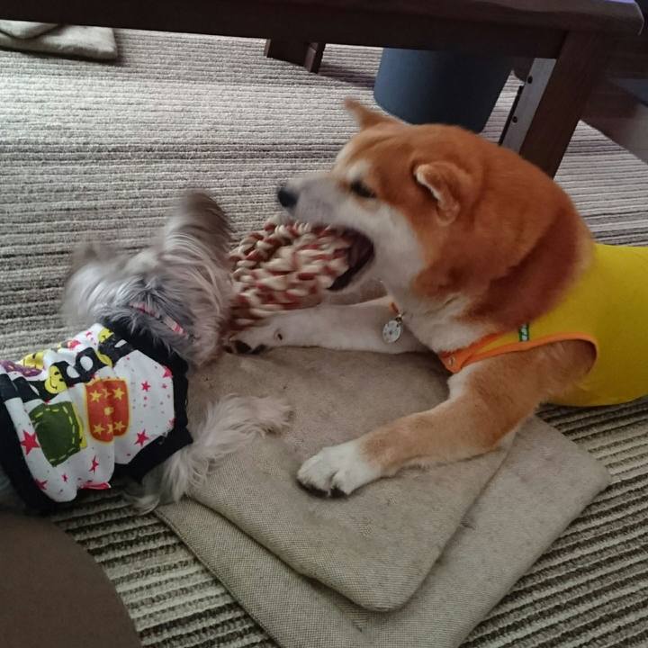 De7b34ee dcc3 4aec bbd4 a8276016369a