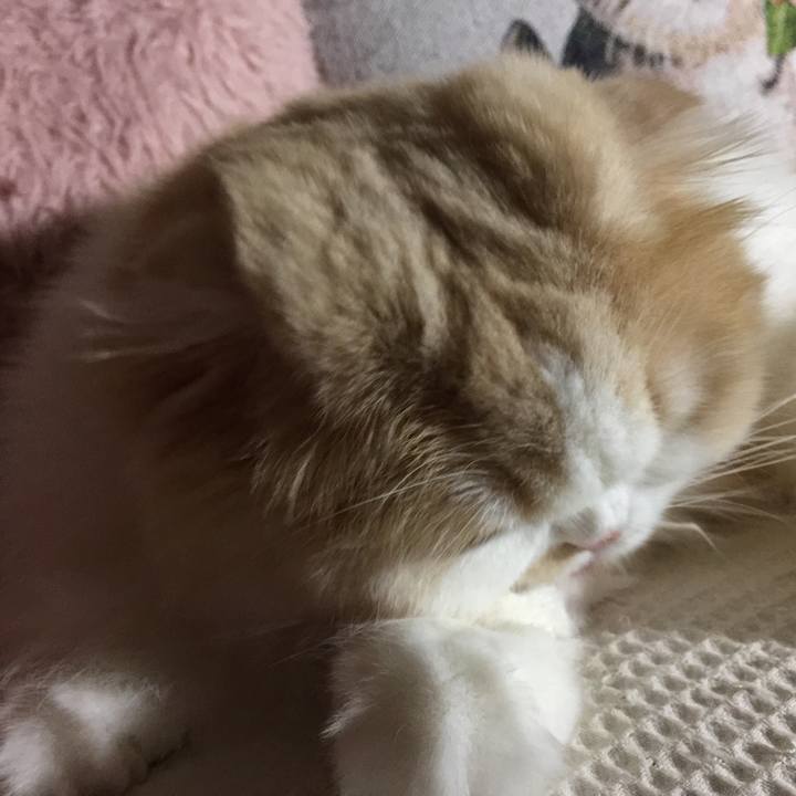 De7b52e3 ee65 464b 845b 115c1ae6125f