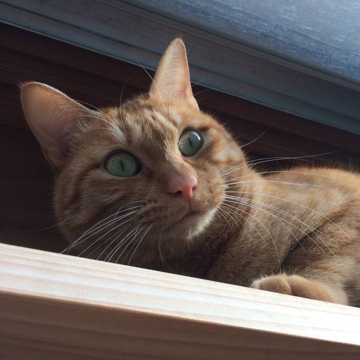 De7bdb9e 636c 4221 ba68 fb290e898bc9