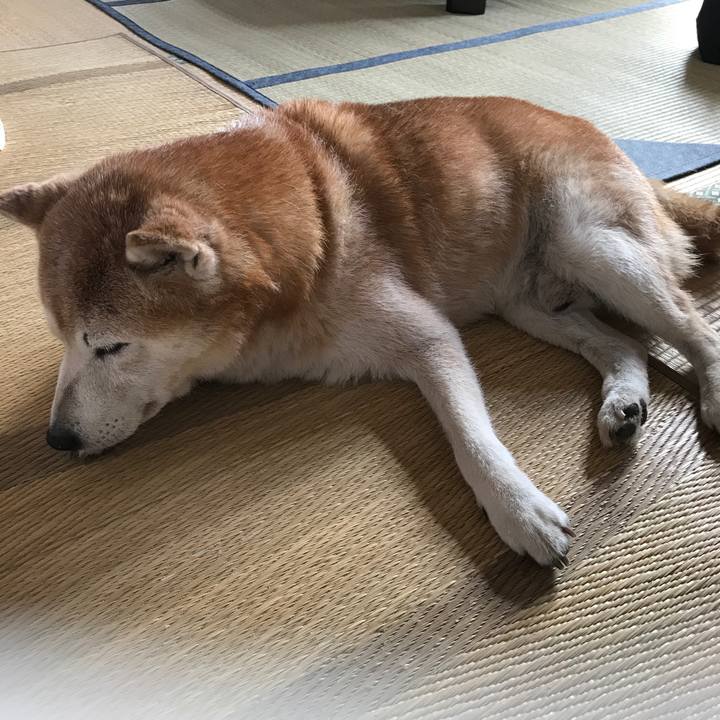 De7c22a5 1a13 4342 9e7f 0750b821f4e3