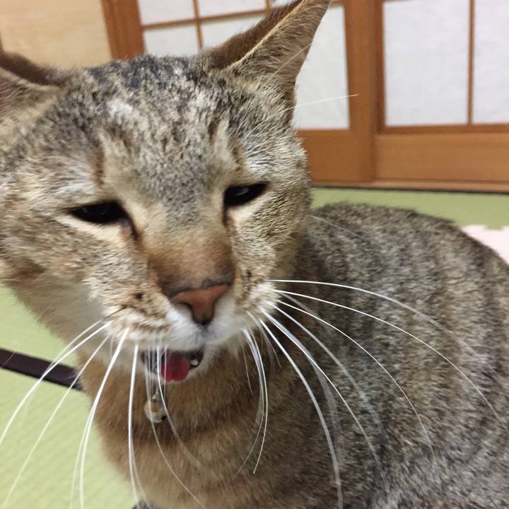 De7c804e aa26 4412 8c6e e3661c3f621a