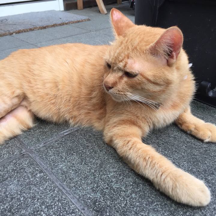 De7c93c9 095b 4313 8ed1 001fa2e16e3f