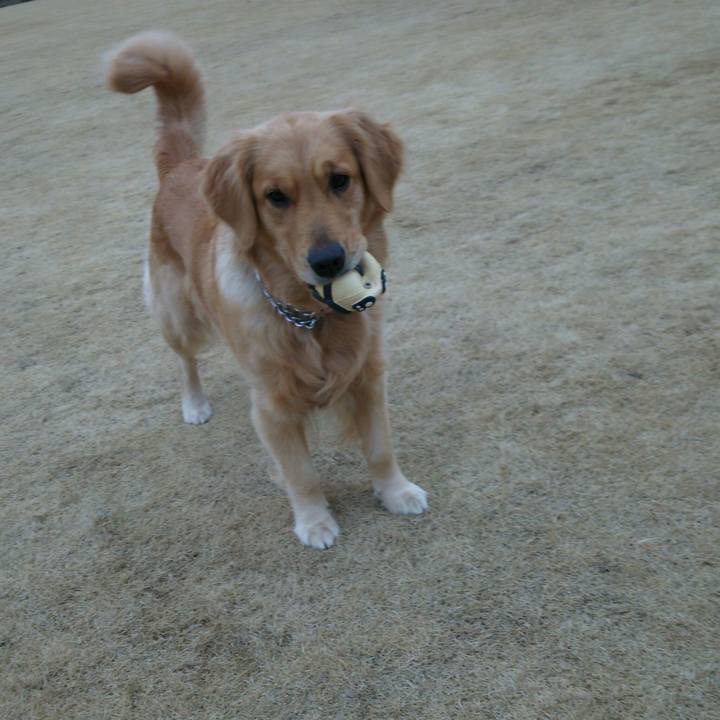 De7d7552 498c 4247 9393 d95bcec6e17a