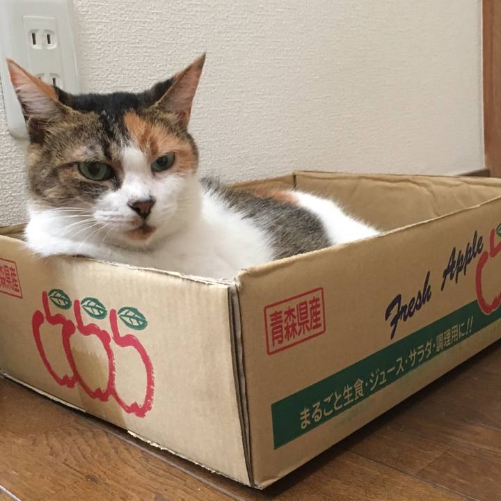 De7f273d c2e3 4951 b263 2e9d0eaaa5ce