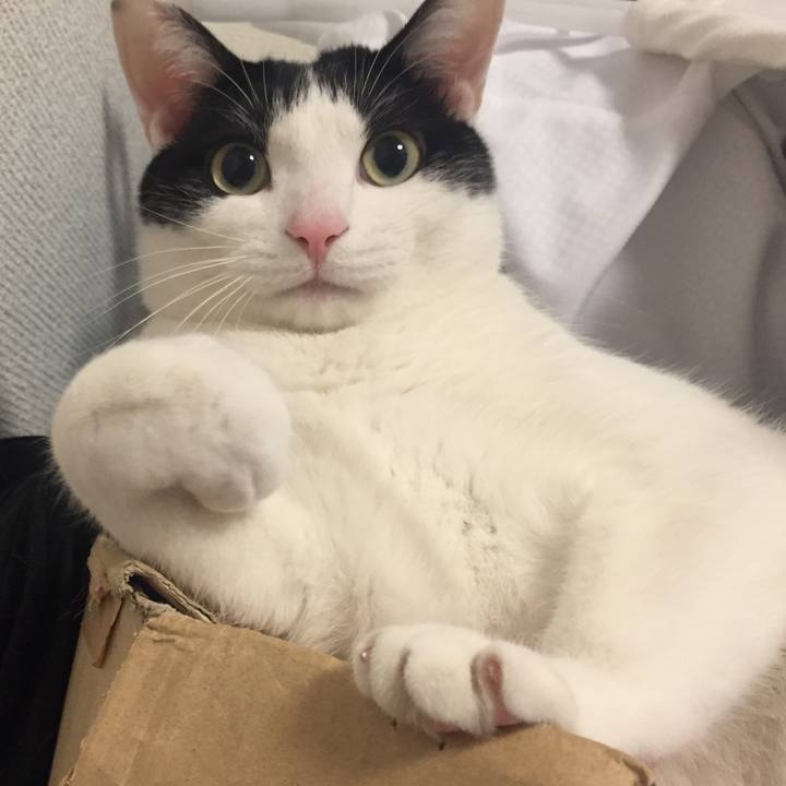 De7f5479 db32 46bd aa07 4b8eea17e30d