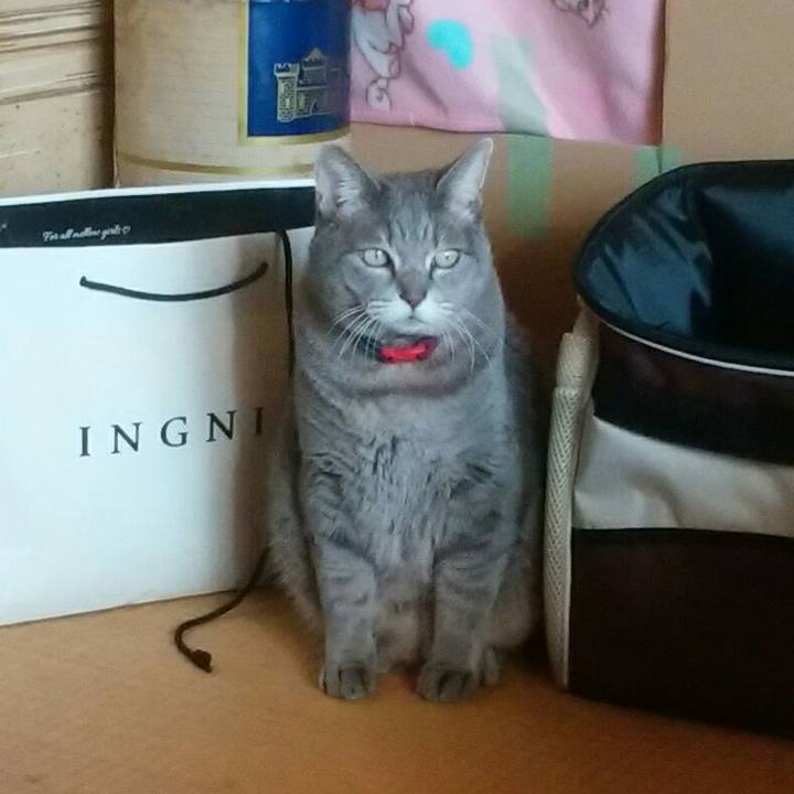 De7ff6fd 1dd9 4130 92fe baef6d9cc5e9