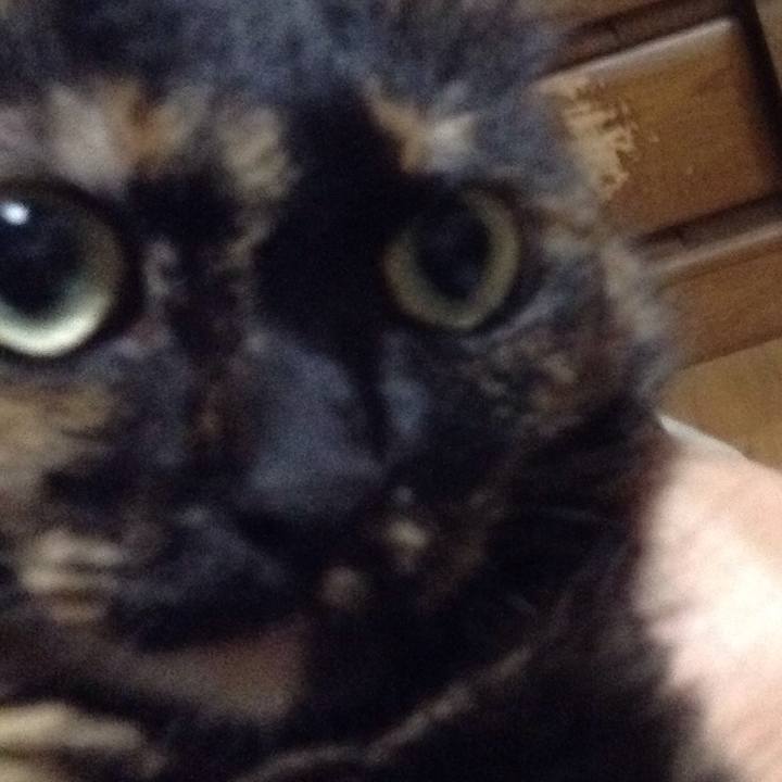 De809421 85fe 4cb2 b108 e5691cddc94d