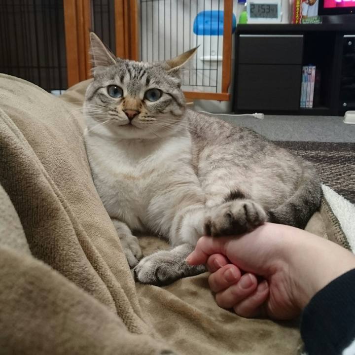 De80cadc 2fd1 4267 9edc cac501f0d6e9