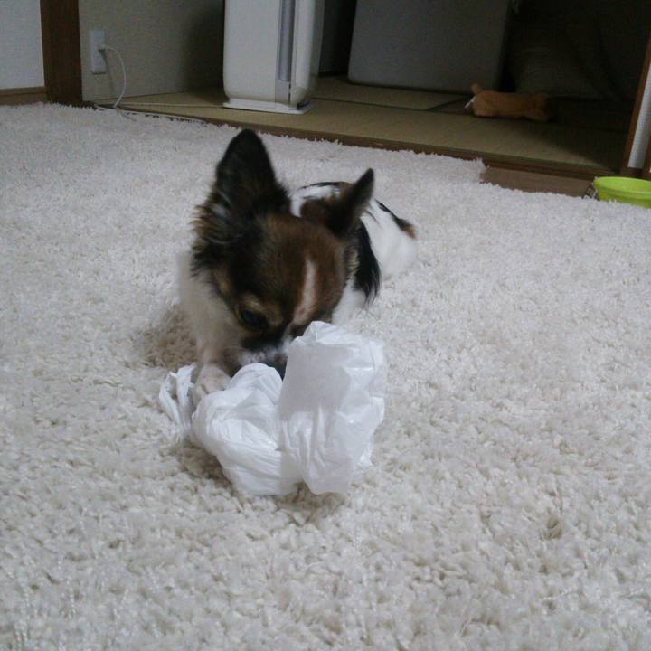 De80db54 fca5 487b b382 d755fa484d18